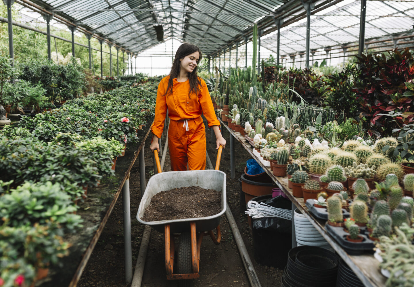 lista de deseos viveros los molinos