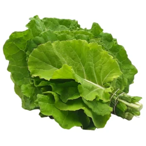 berza asturiana fresca en manojo